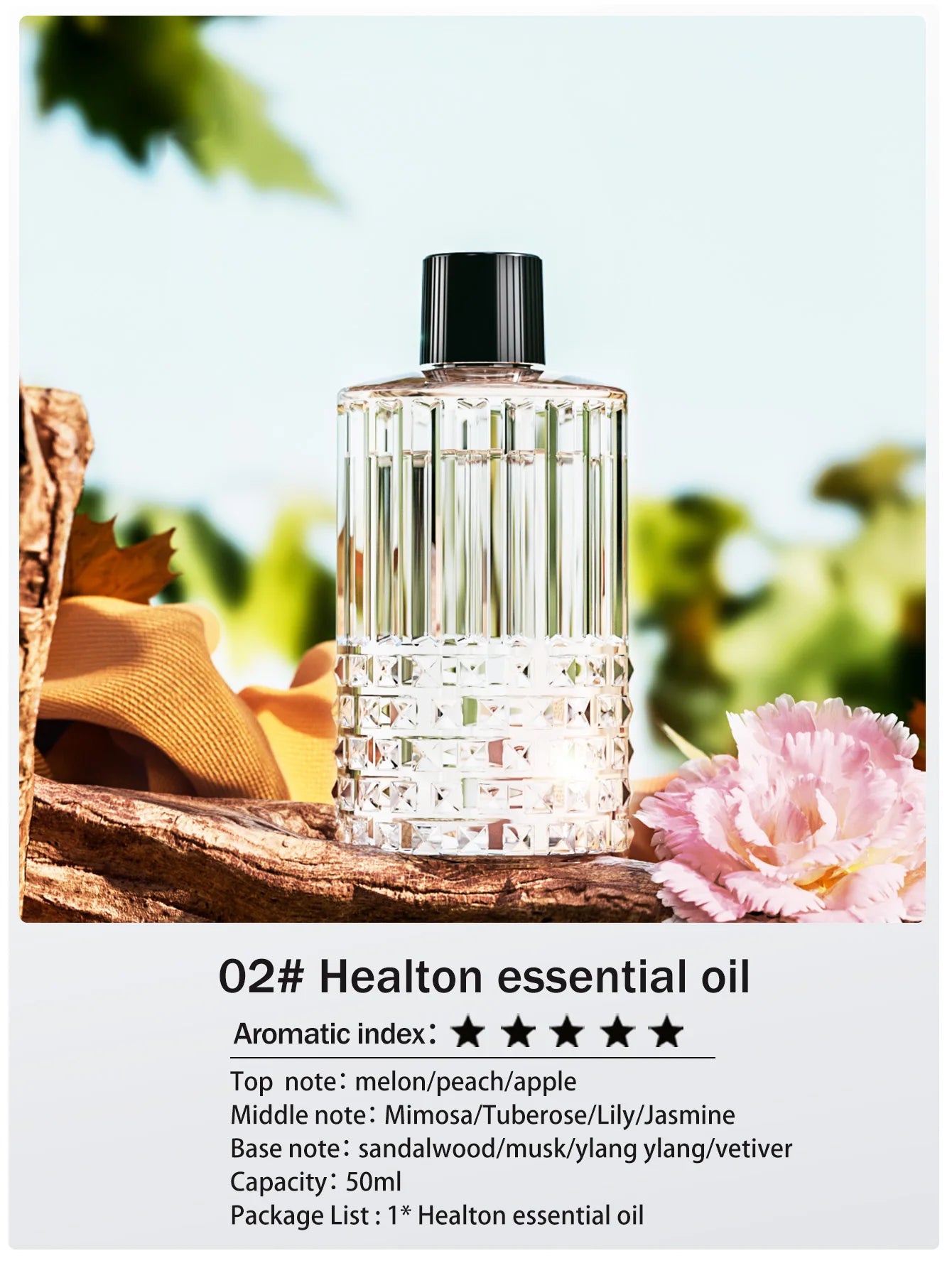 Rechargeable Mini Essential Oil Diffuser 5 Gear Aromatherapy Machine Large Mist Air Humidifier for Home Car Office Use