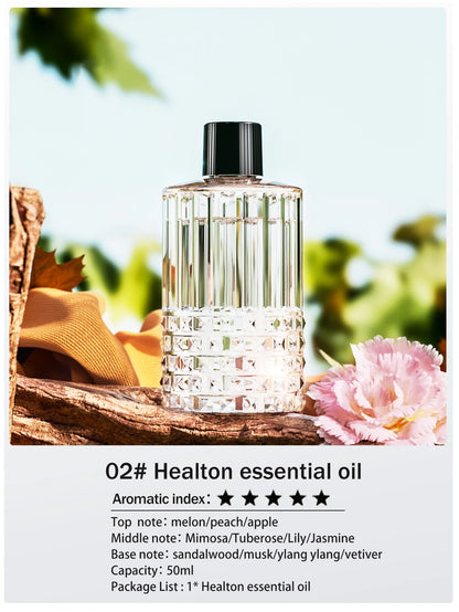 Rechargeable Mini Essential Oil Diffuser 5 Gear Aromatherapy Machine Large Mist Air Humidifier for Home Car Office Use