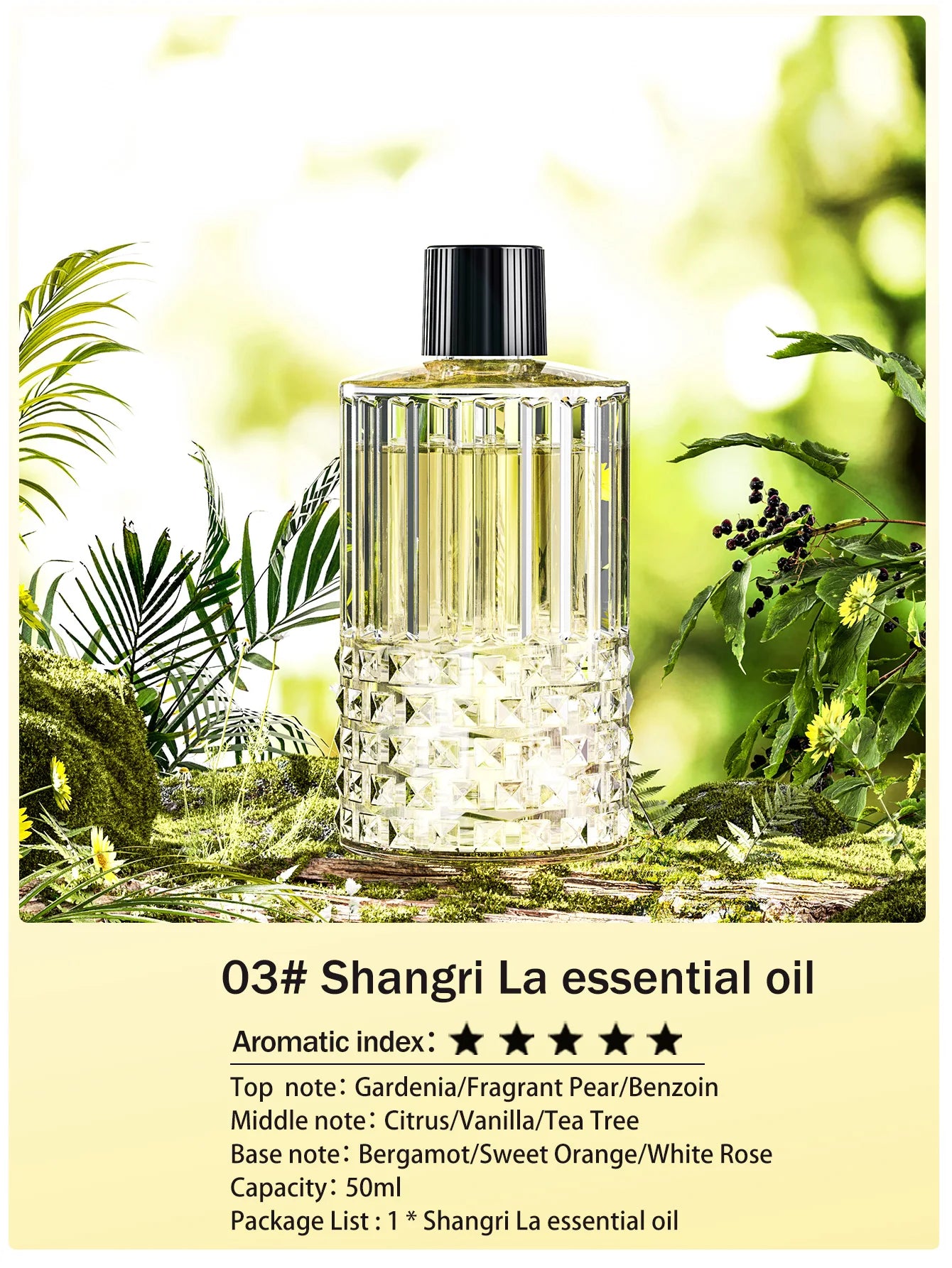 Rechargeable Mini Essential Oil Diffuser 5 Gear Aromatherapy Machine Large Mist Air Humidifier for Home Car Office Use