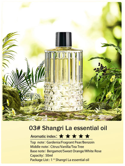Rechargeable Mini Essential Oil Diffuser 5 Gear Aromatherapy Machine Large Mist Air Humidifier for Home Car Office Use
